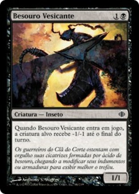 Besouro Vesicante