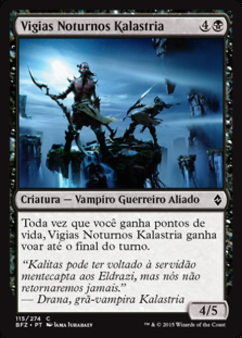 Vigias Noturnos Kalastria