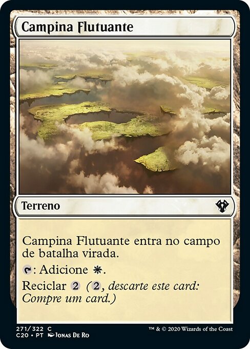 Campina Flutuante