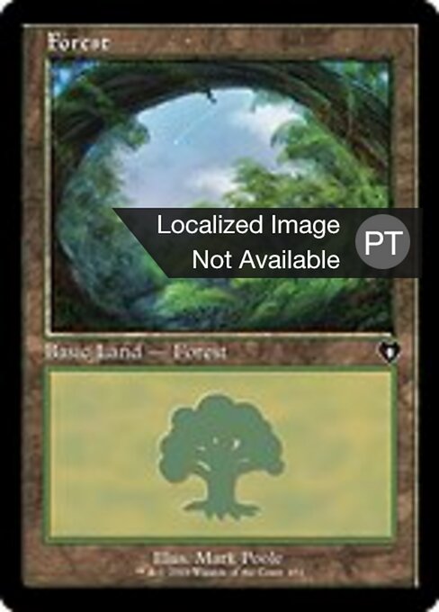 Forest
