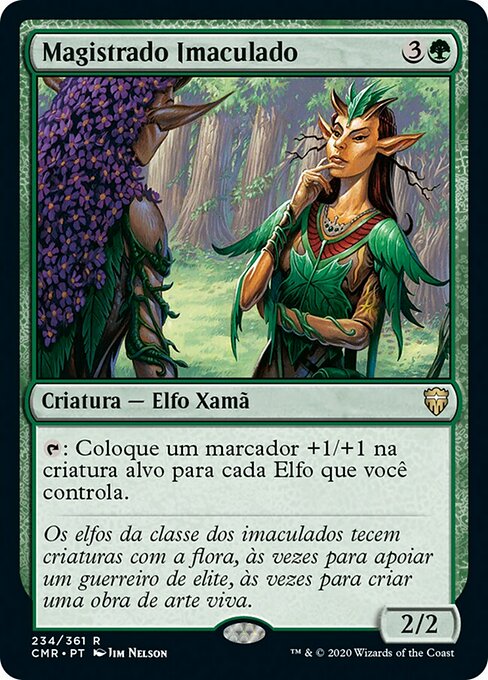 Magistrado Imaculado