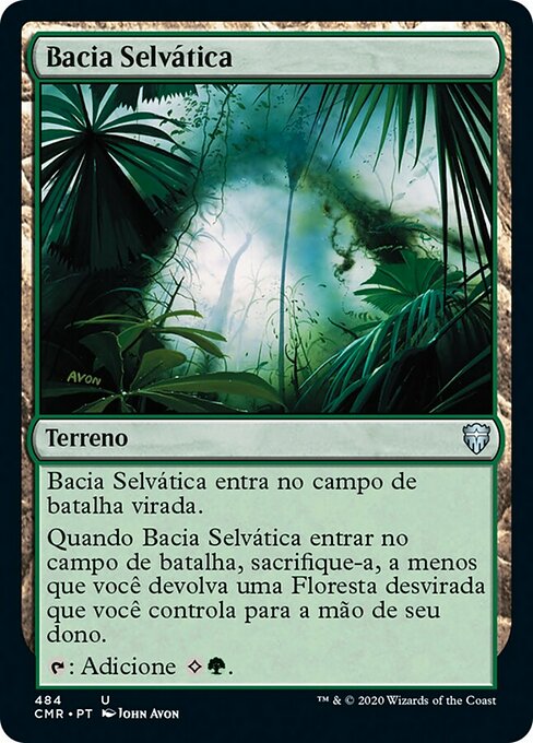 Bacia Selvática