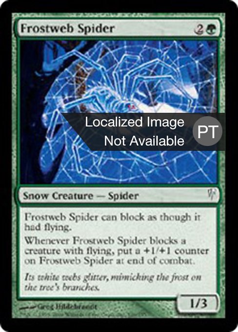 Aranha Teia de Gelo