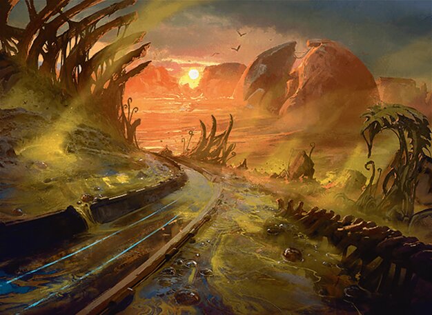 Swamp