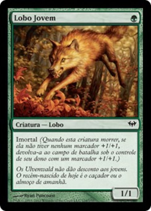 Lobo Jovem