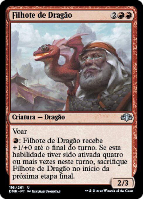 Filhote de Dragão