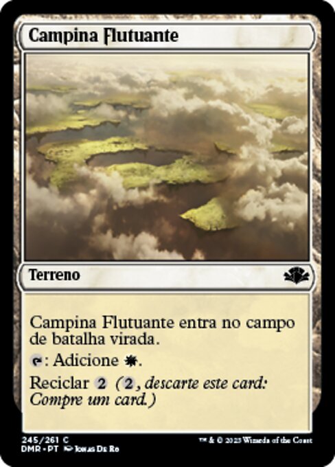 Campina Flutuante