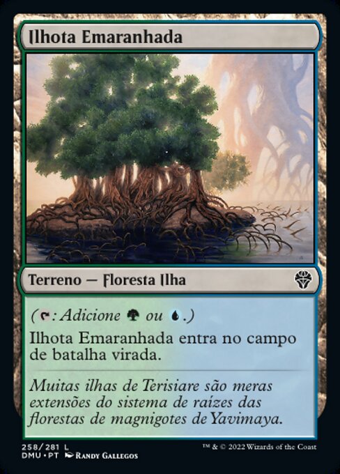 Ilhota Emaranhada