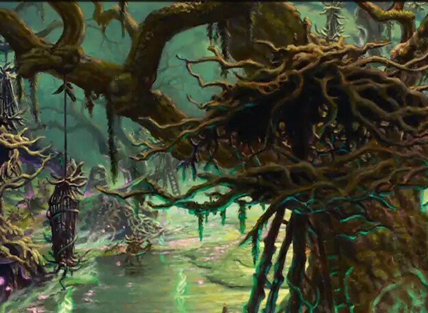Swamp