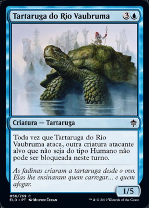 Tartaruga do Rio Vaubruma