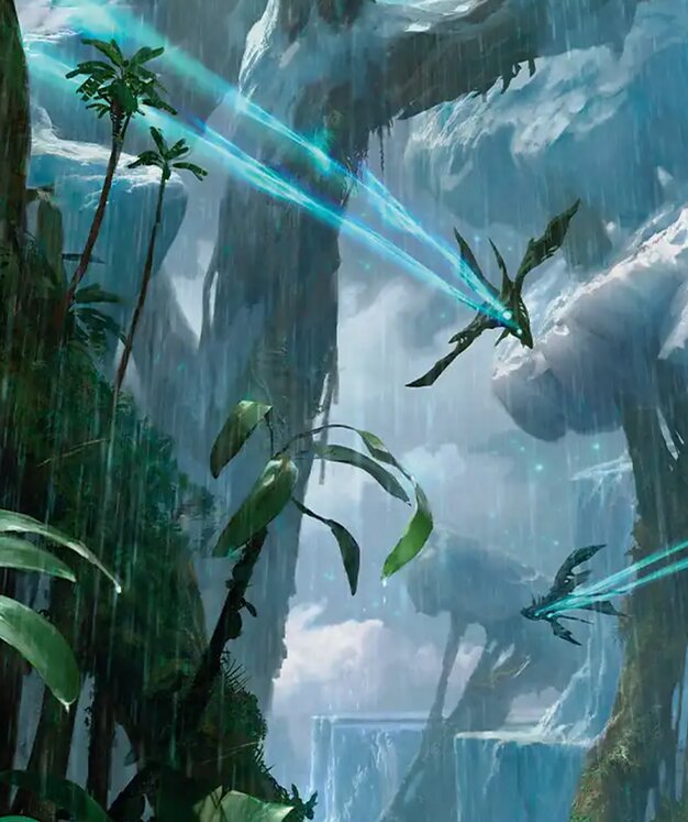Forest