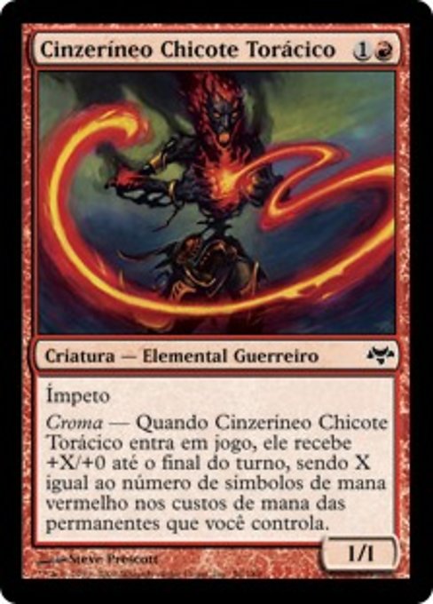 Cinzeríneo Chicote Torácico