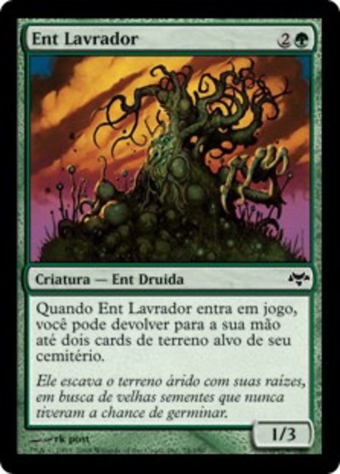 Ent Lavrador