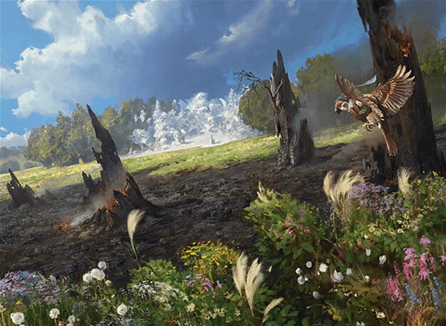 Uncharted Haven