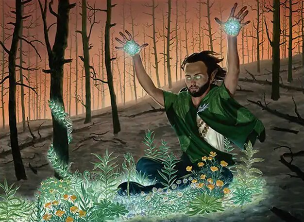 Springbloom Druid
