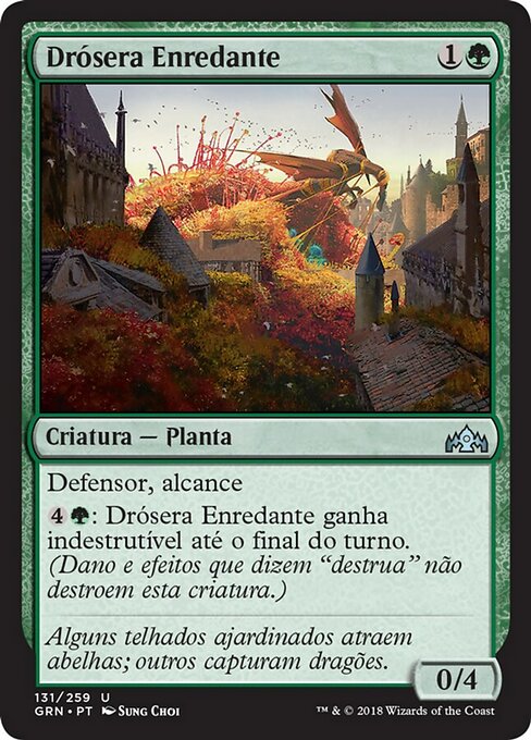 Drósera Enredante