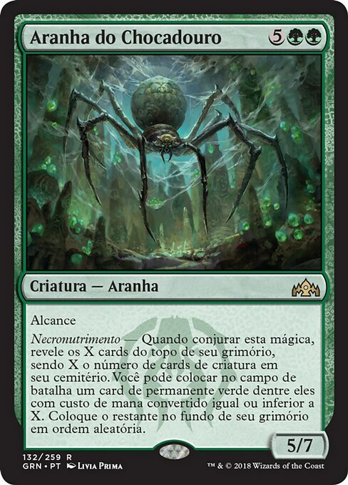 Aranha do Chocadouro