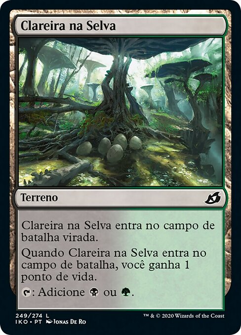 Clareira na Selva
