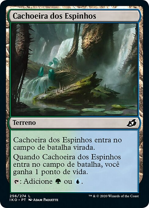 Cachoeira dos Espinhos
