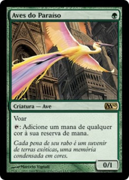 Aves do Paraíso