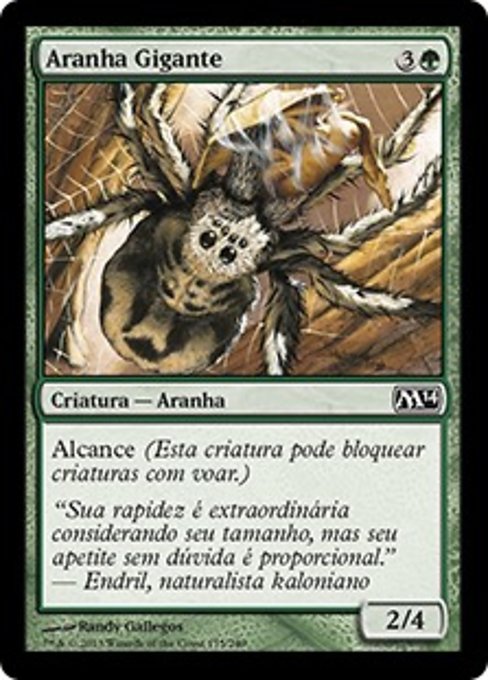Aranha Gigante
