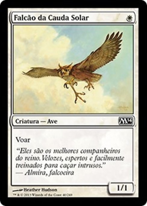 Falcão da Cauda Solar