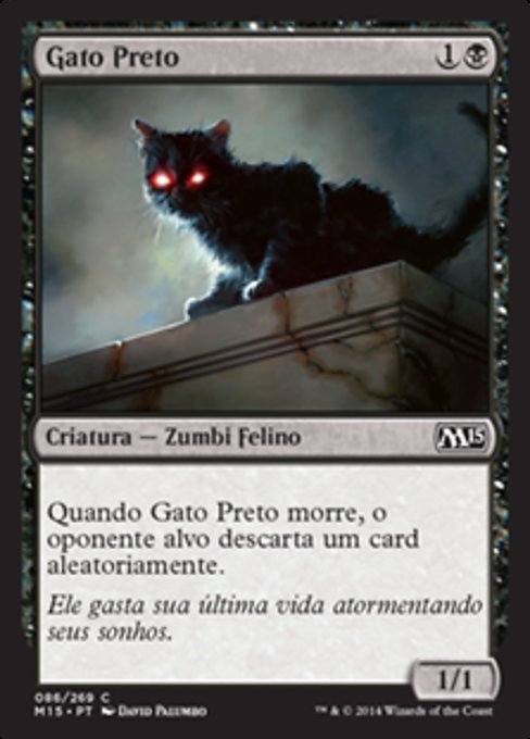Gato Preto