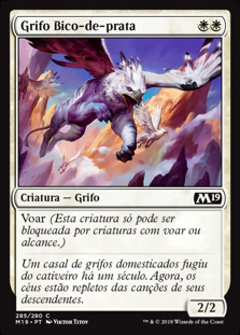 Grifo Bico-de-prata