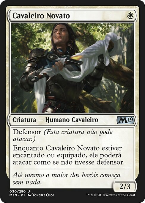 Cavaleiro Novato