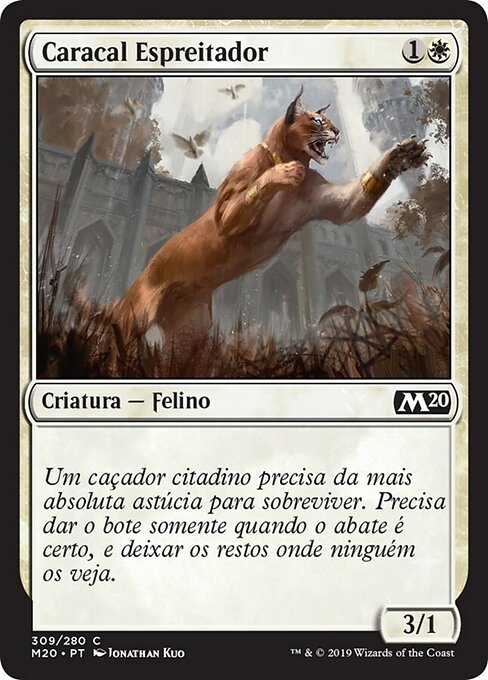 Caracal Espreitador
