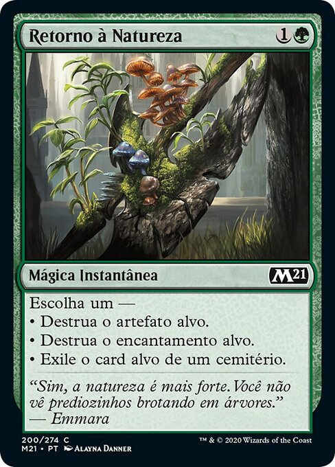 Retorno à Natureza