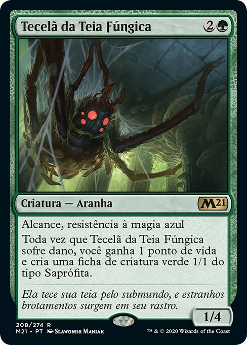 Tecelã da Teia Fúngica
