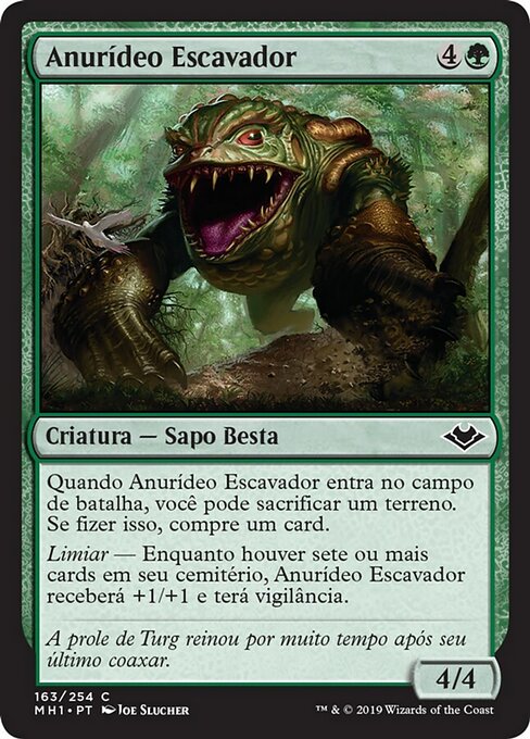 Anurídeo Escavador