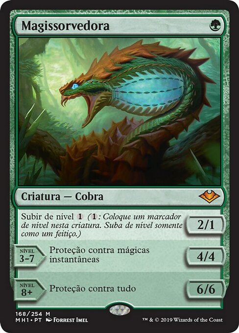 Magissorvedora