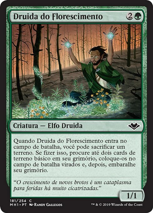 Druida do Florescimento