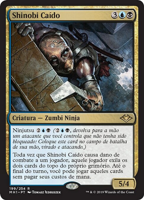 Shinobi Caído