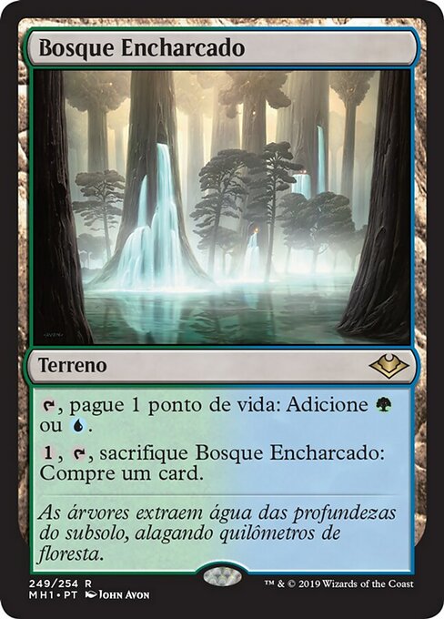 Bosque Encharcado