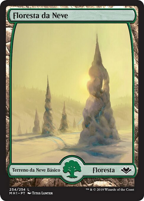 Floresta da Neve