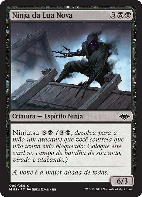 Ninja da Lua Nova