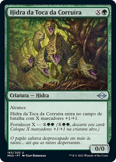 Hidra da Toca da Corruíra