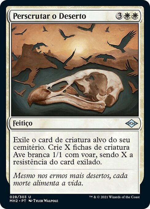 Perscrutar o Deserto