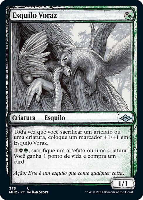 Esquilo Voraz