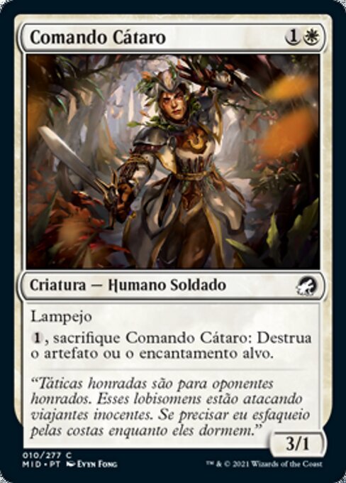 Comando Cátaro