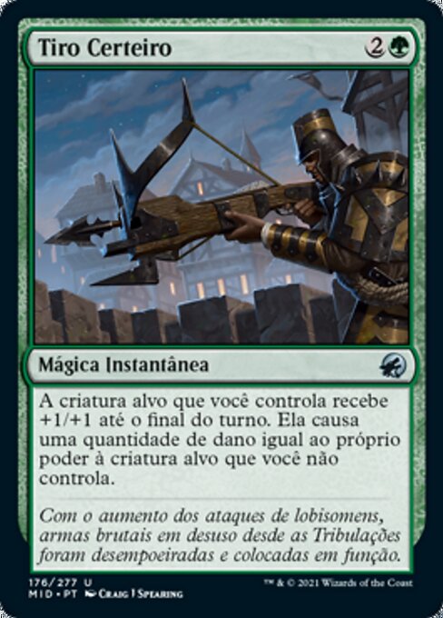 Tiro Certeiro