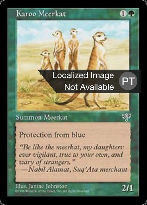 Suricate de Karoo