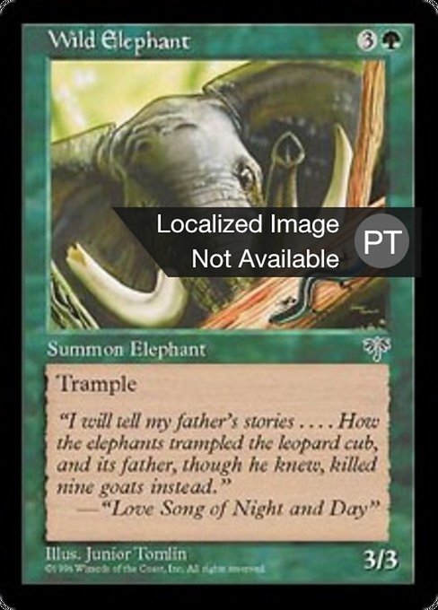 Elefante Selvagem