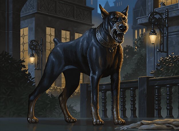 Cão-de-guarda dos Karlov