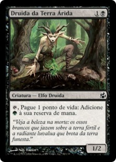 Druida da Terra Árida