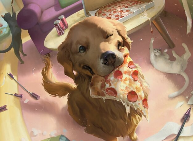 Lucky the Pizza Dog