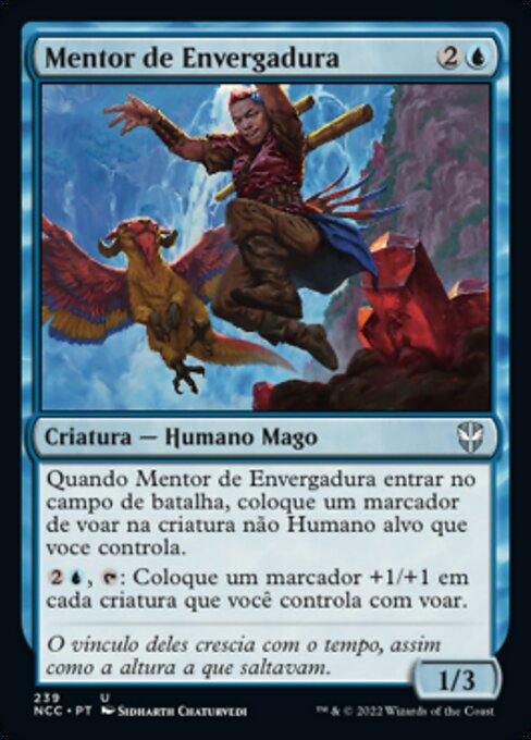 Mentor de Envergadura